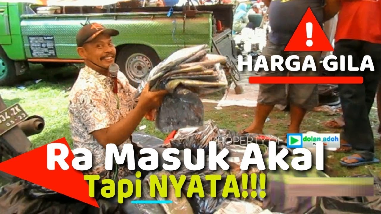 Segunung Baju Kondisi Baru Gress Termurah Sejagat | Pasar Legen Jatinom