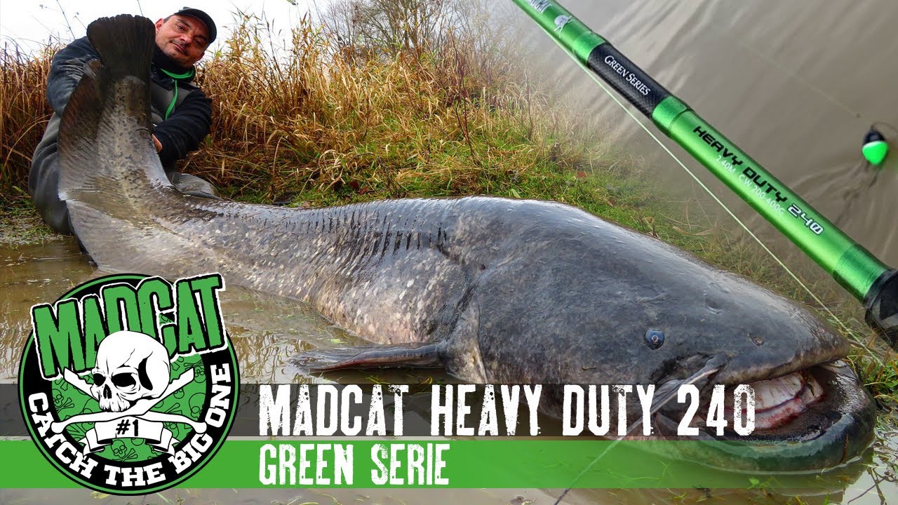 Canne MADCAT Green Serie HEAVY DUTY 240