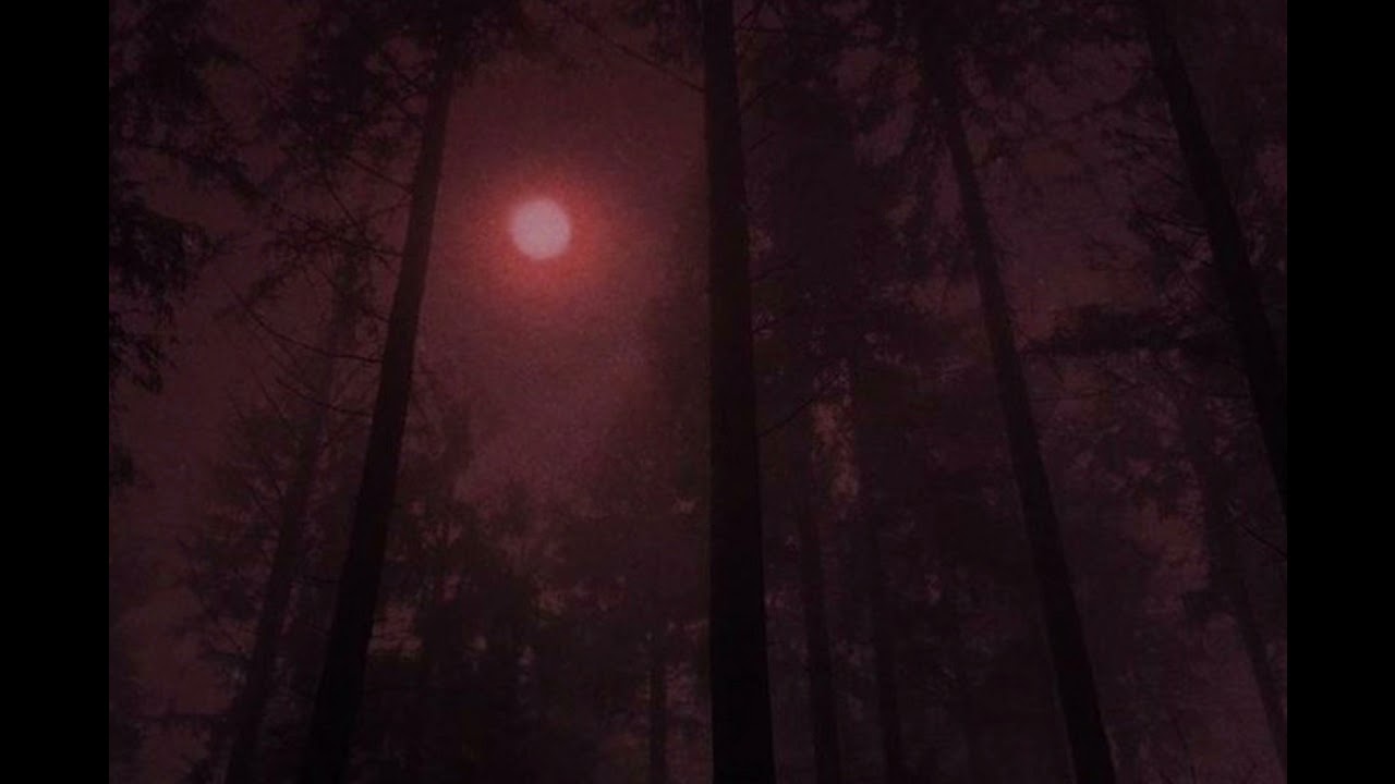 //FREE// XAVIER WULF x CHRIS TRAVIS x BONES TYPE BEAT 