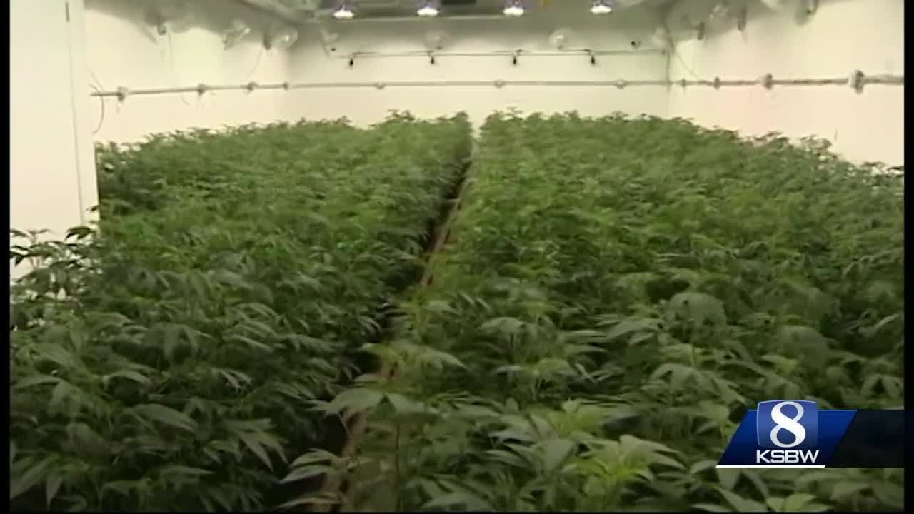 &ldquo;The First Lady of Cannabis