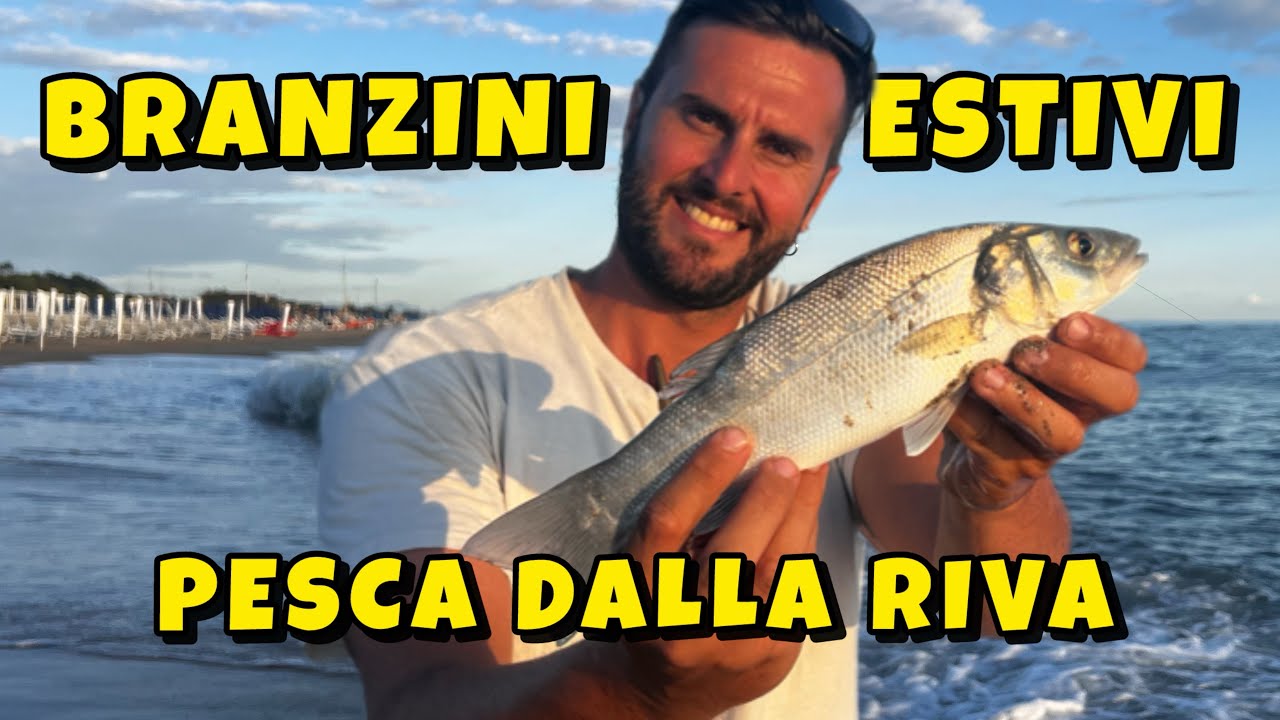 SPIGOLE ESTIVE *pesca a bolognese dalla spiaggia*