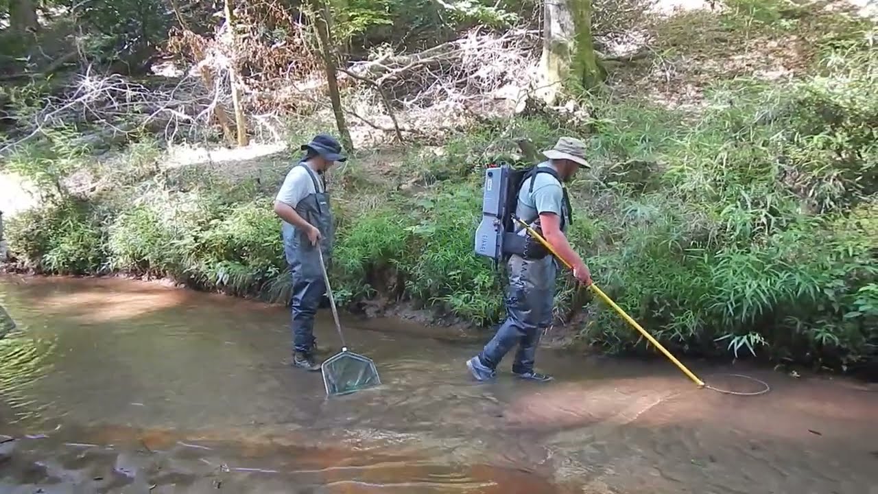 How Do Fisheries Biologists Assess the Biotic Health of Streams?  Part 1