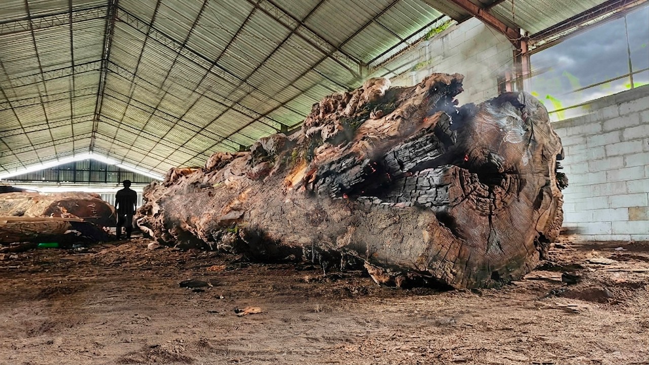 EXTREME Sawmill Action &ndash; Giant Wood Too Heavy to Handle