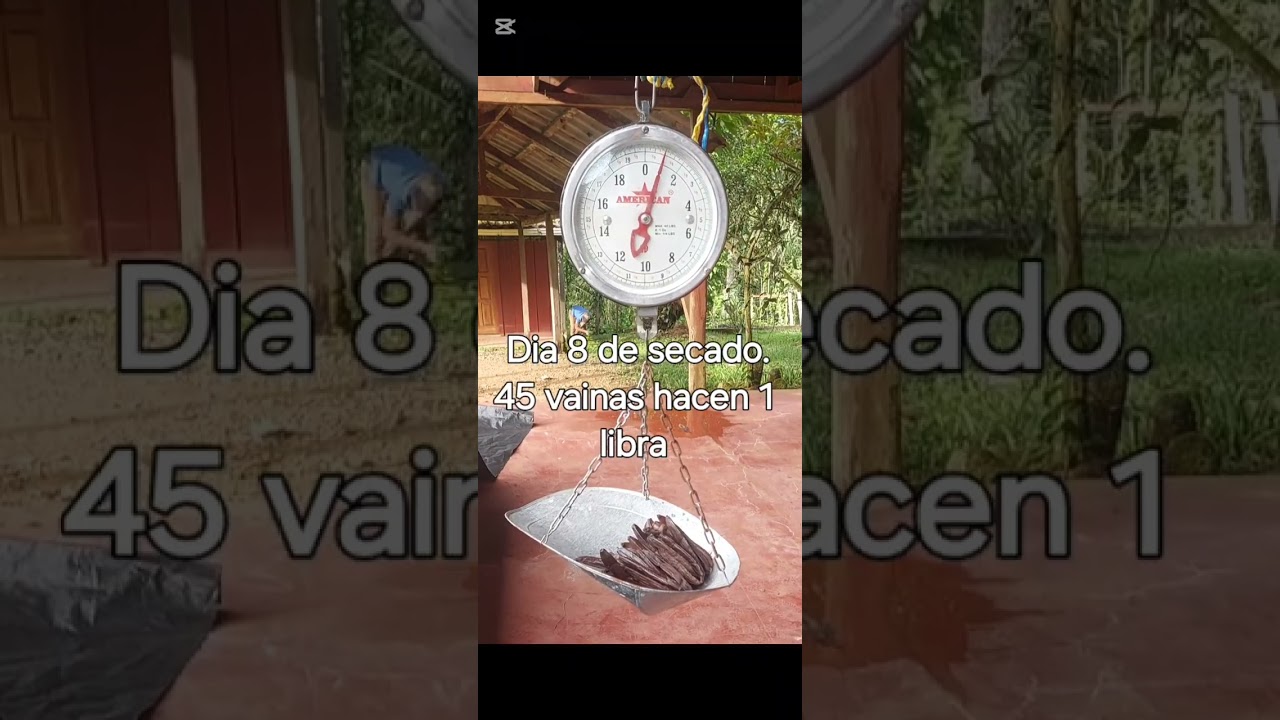 12 de enero de 2026