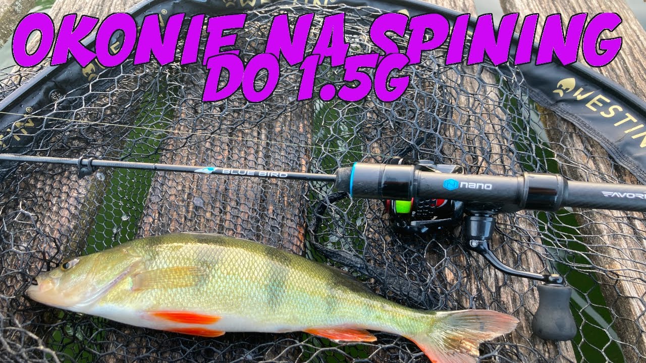 Okonie na Wędkę do 1.5g | Favorite Blue Bird nano 0.2-1.5