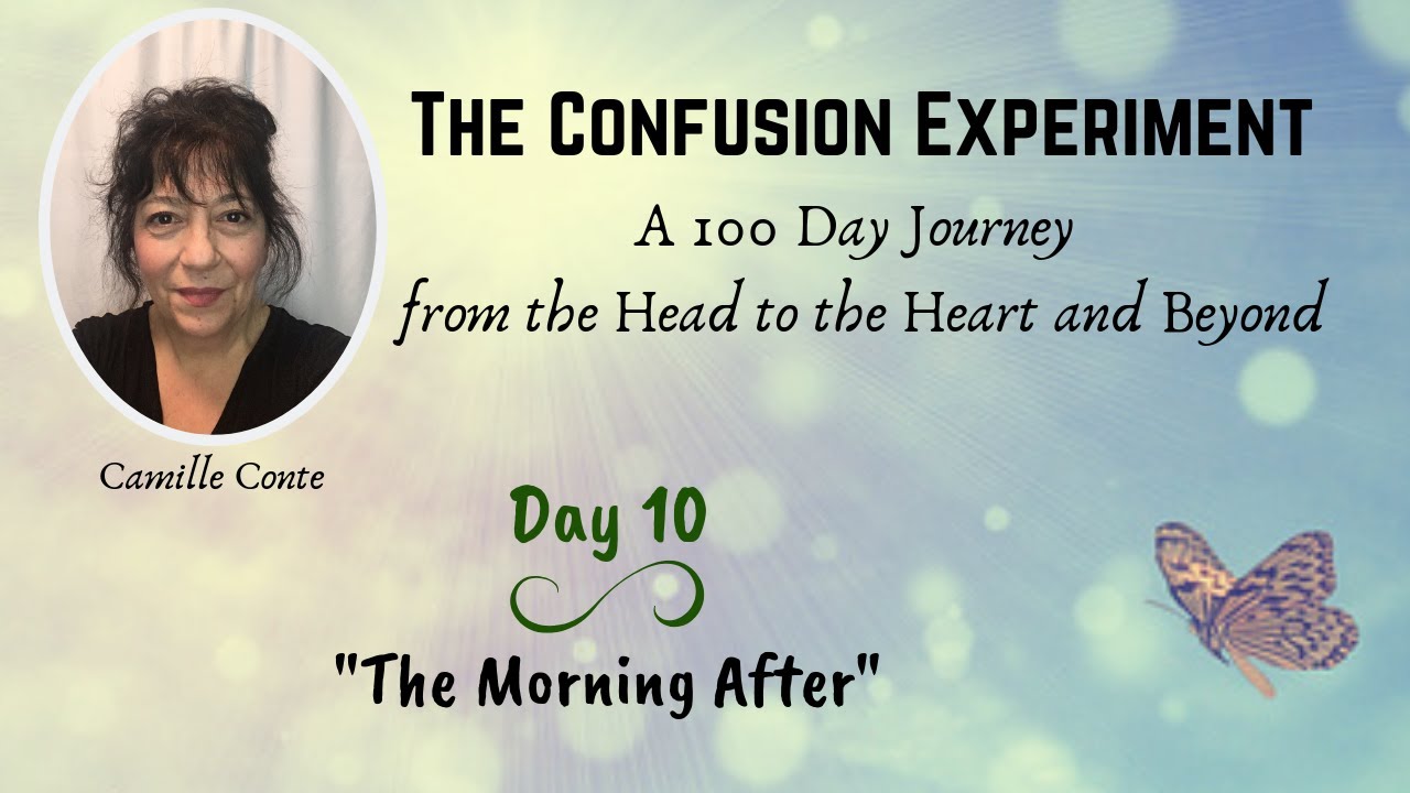 Day 10: The Confusion Experiment  - 