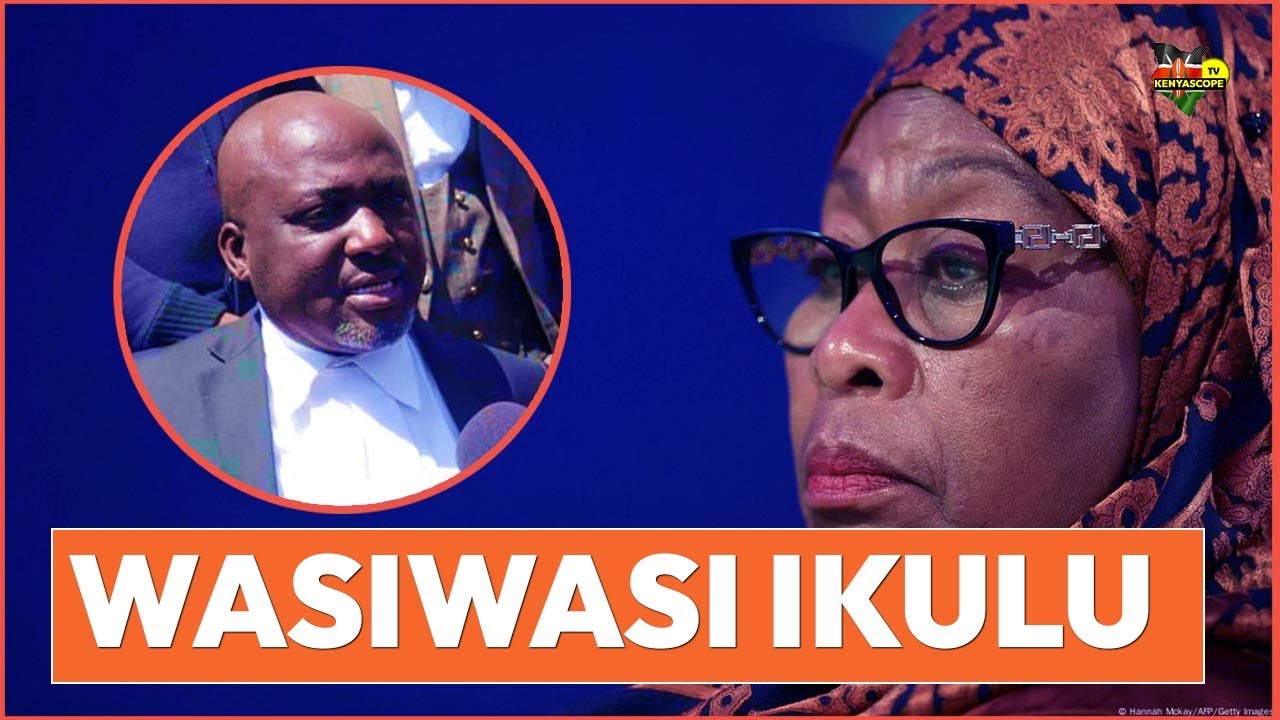 Wasiwasi Na Hofu Imetanda Ikulu Baada Ya Mwabukusi Kuzua Woga Kuhusiana Na Uchaguzi Ujao