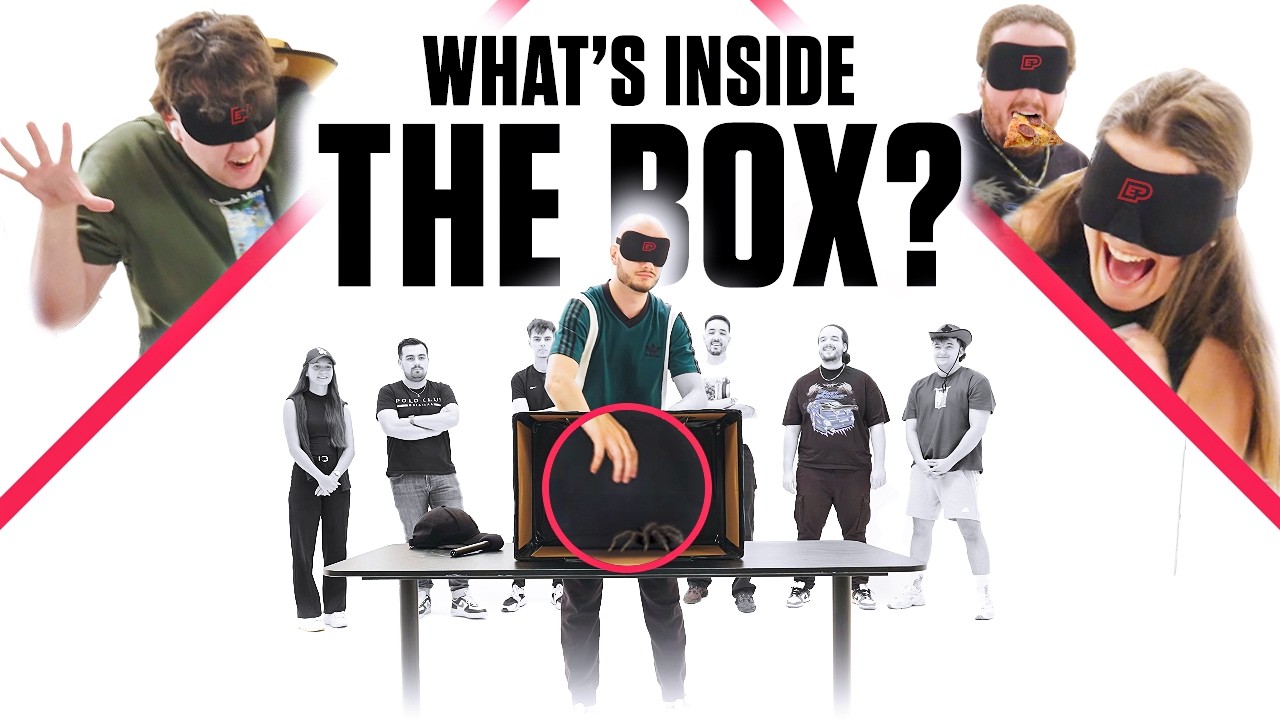 WHAT'S IN THE BOX?! (Enterprise Edition)
