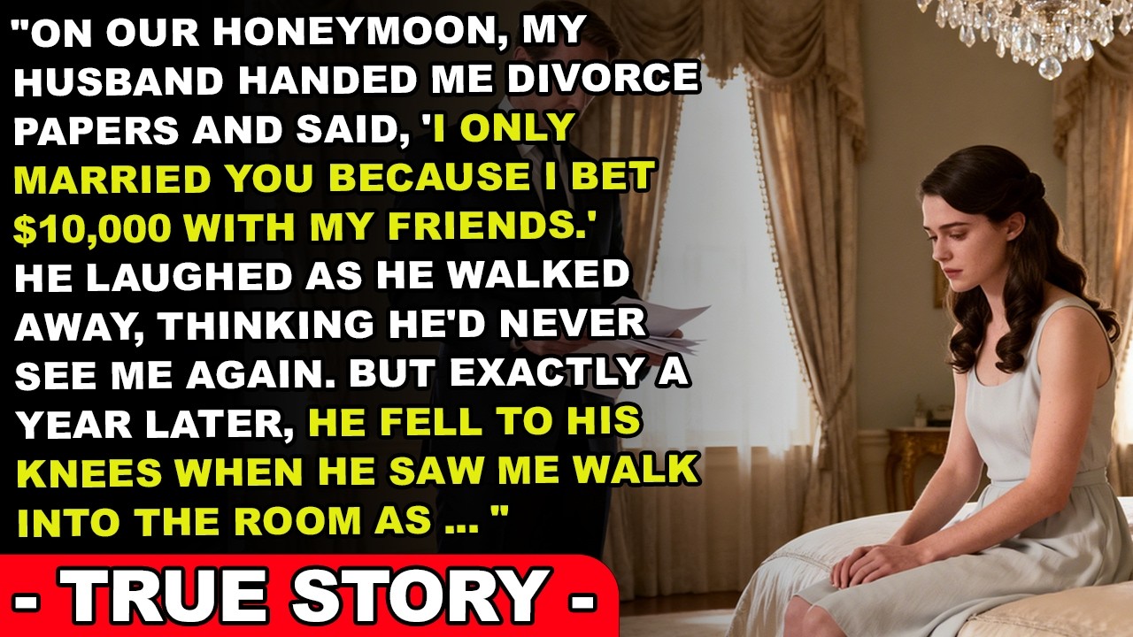 He Gave Me Divorce Papers on Our Honeymoon for a $10K Bet—One Year Later, He Begged