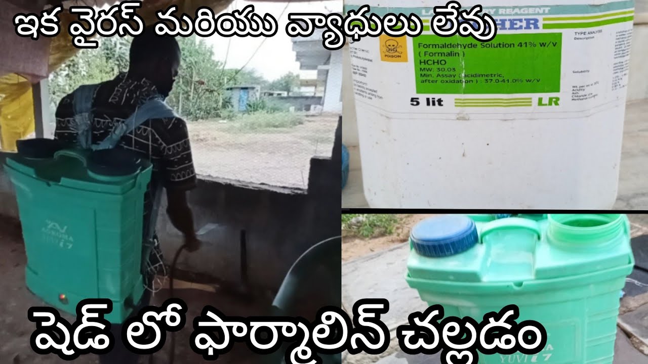 poultry farm cleaning | shed cleaning|poultry farm |in Telugu| formalin spray