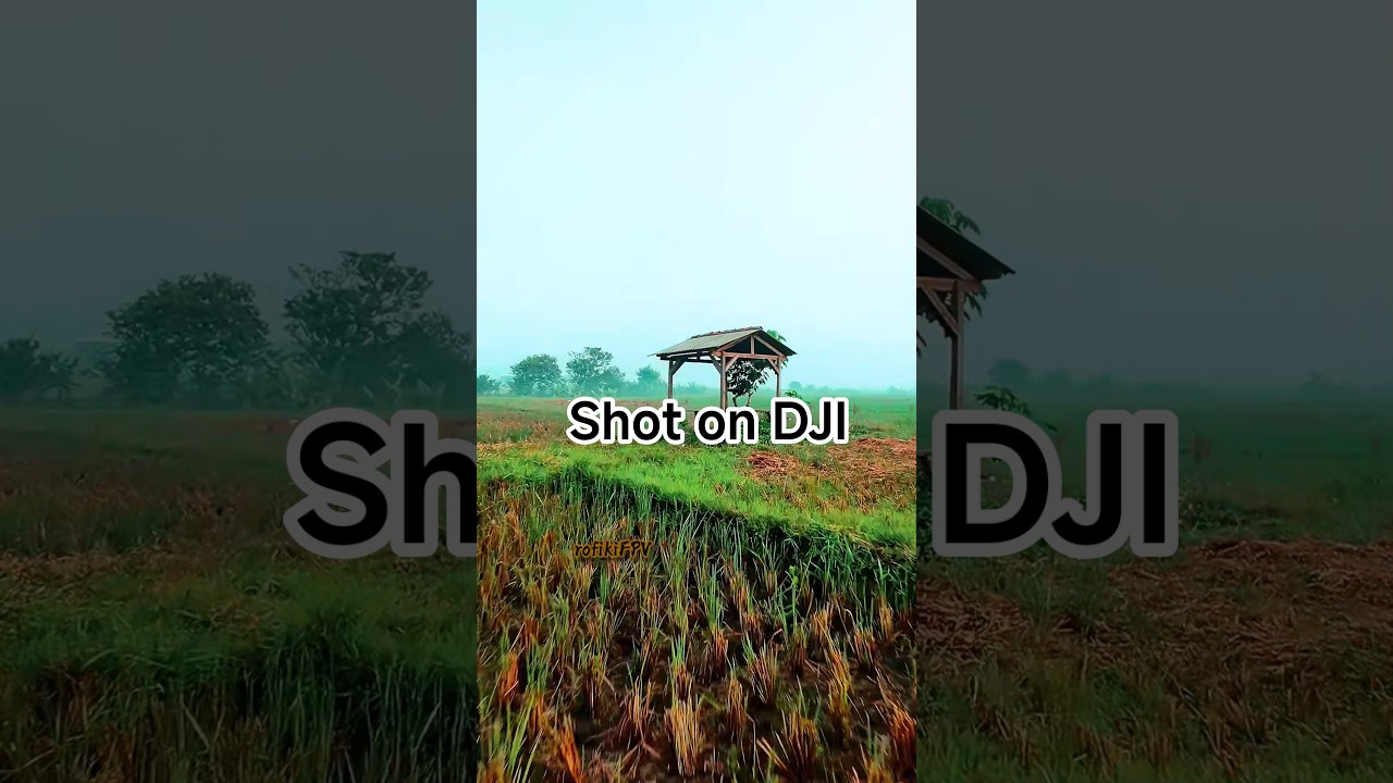 Drone main di sawah,Kabupaten bandung marga asihDrone FPV #sewadronefpv #sewapilotdrone #babifreitas