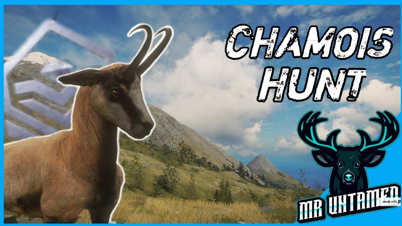 This Chamois Hunt was INSANE!! Diamond Chamois and More (theHunter Call of the Wild)