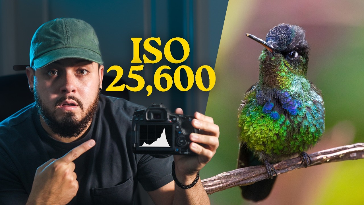 El ISO no causa RUIDO en tus Fotos y hay una SOLUCIÓN ✨📸