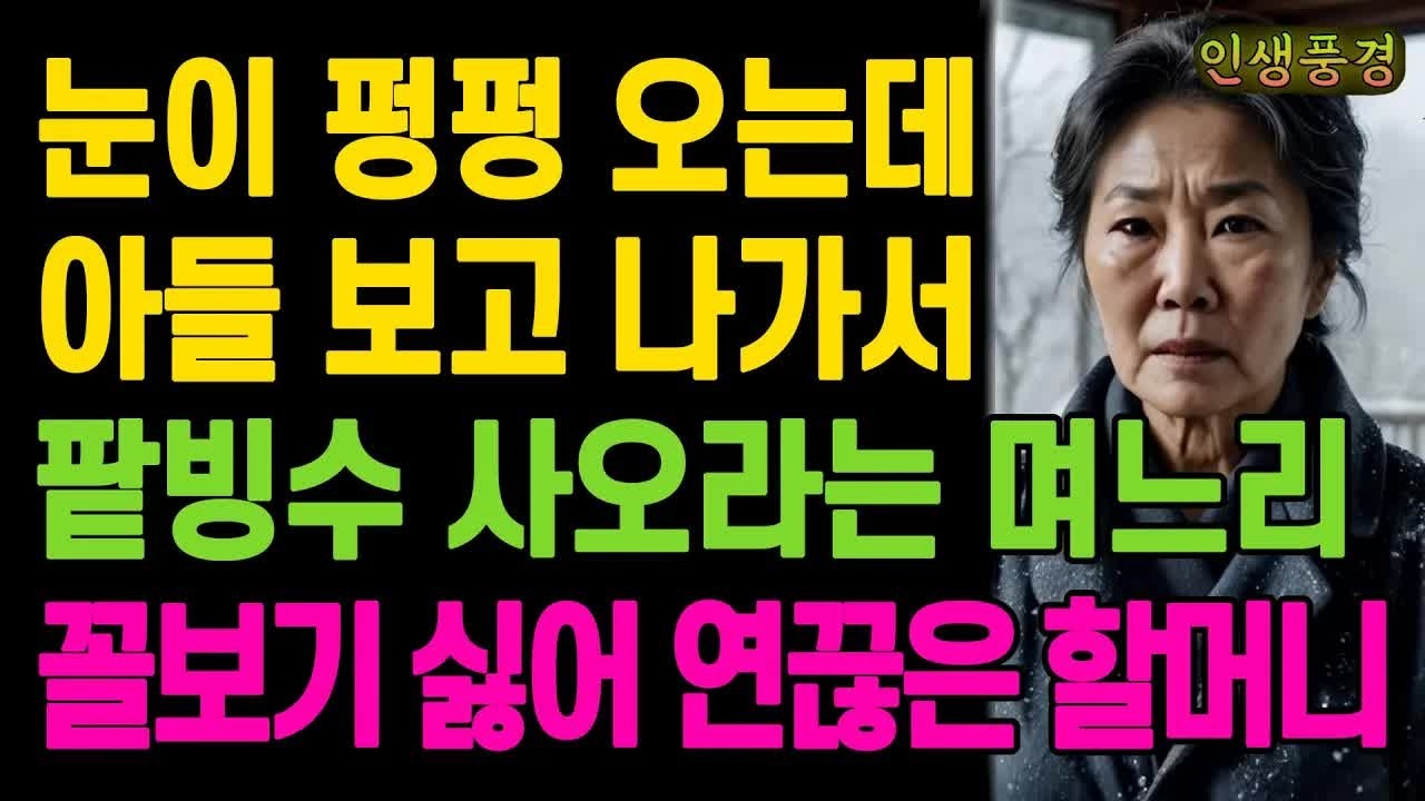 눈이 펑펑 오는데 아들 보고 나가서 팥빙수 사오라는 며느리 꼴보기 싫어 연끊은 할머니 노년의 삶의 지혜 행복한 노후생활 부모자식갈등 사연 이야기 오디오북