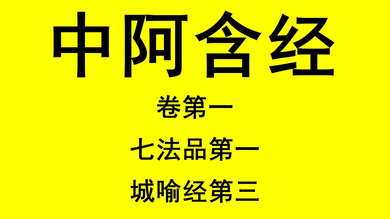 中阿含经 | 卷第一 | 城喻经第三 | 读诵