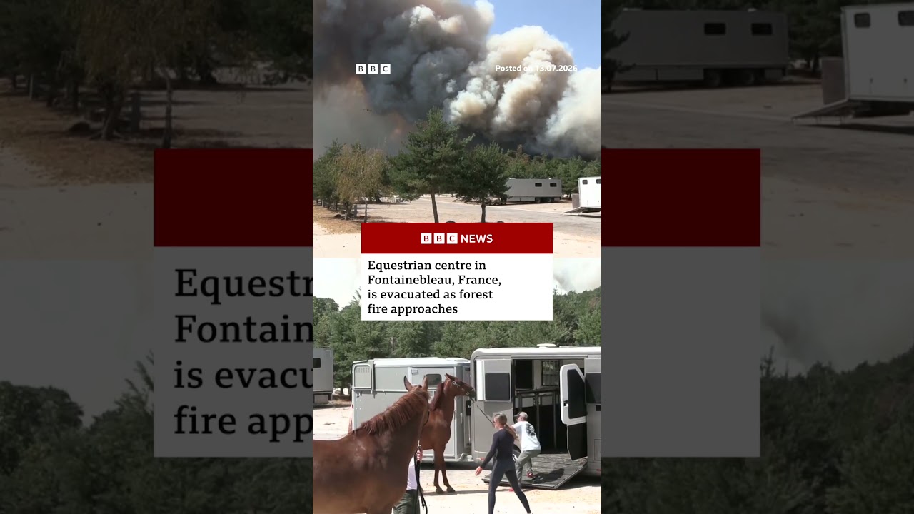 Equestrian centre in Fontainebleau, France, evacuated as forest fire approaches. #Wildfires #BBCNews