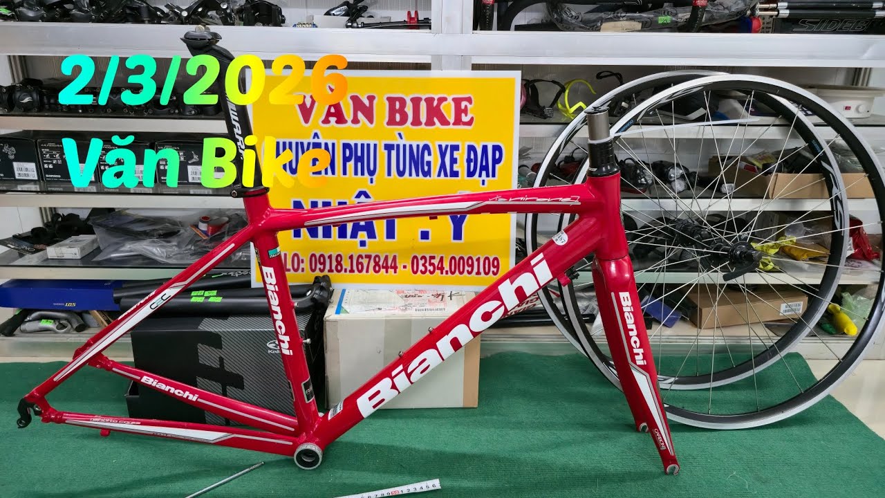 SƯỜN Bianchi Nhôm kiếm Carbon Size 46.0918167844.