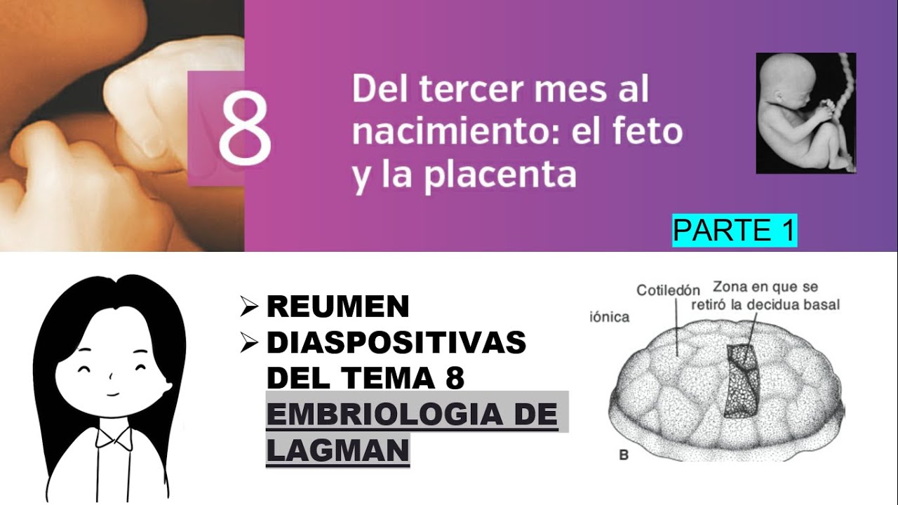 TEMA 8: DEL TERCER MES AL NACIMIENTO: EL FETO Y LA PLACENTA (1ra Parte)