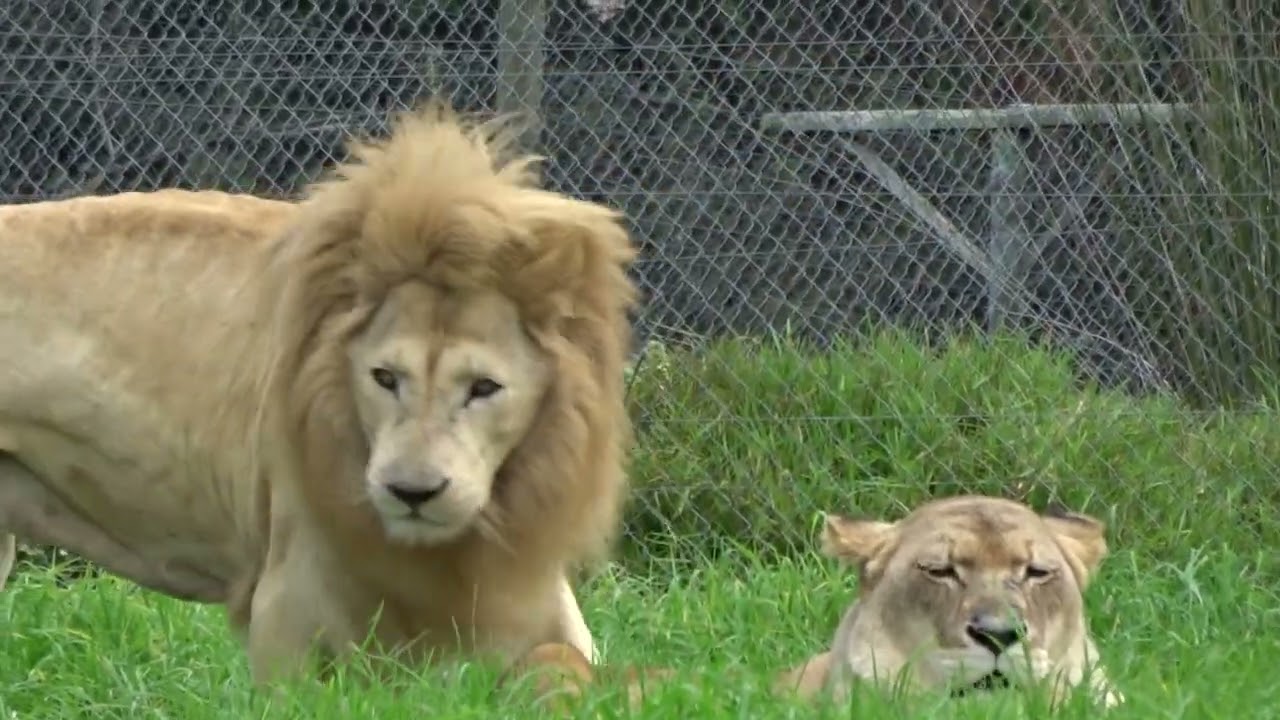 81. Jukani Wildlife Sanctuary