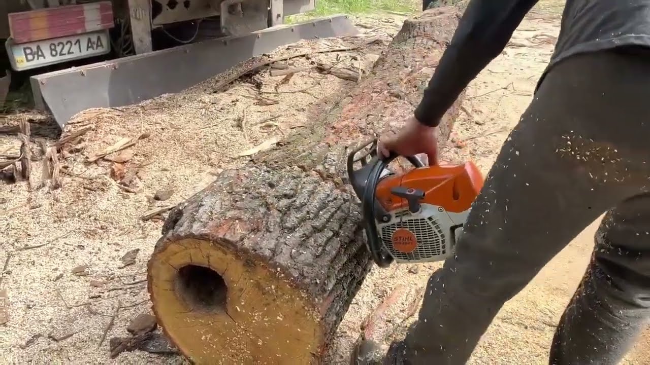 Professional Forest Work with STIHL 462 C-M