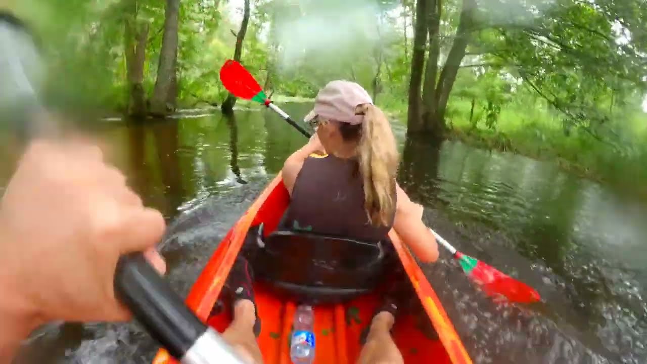 TGW vasaros šventė 2025