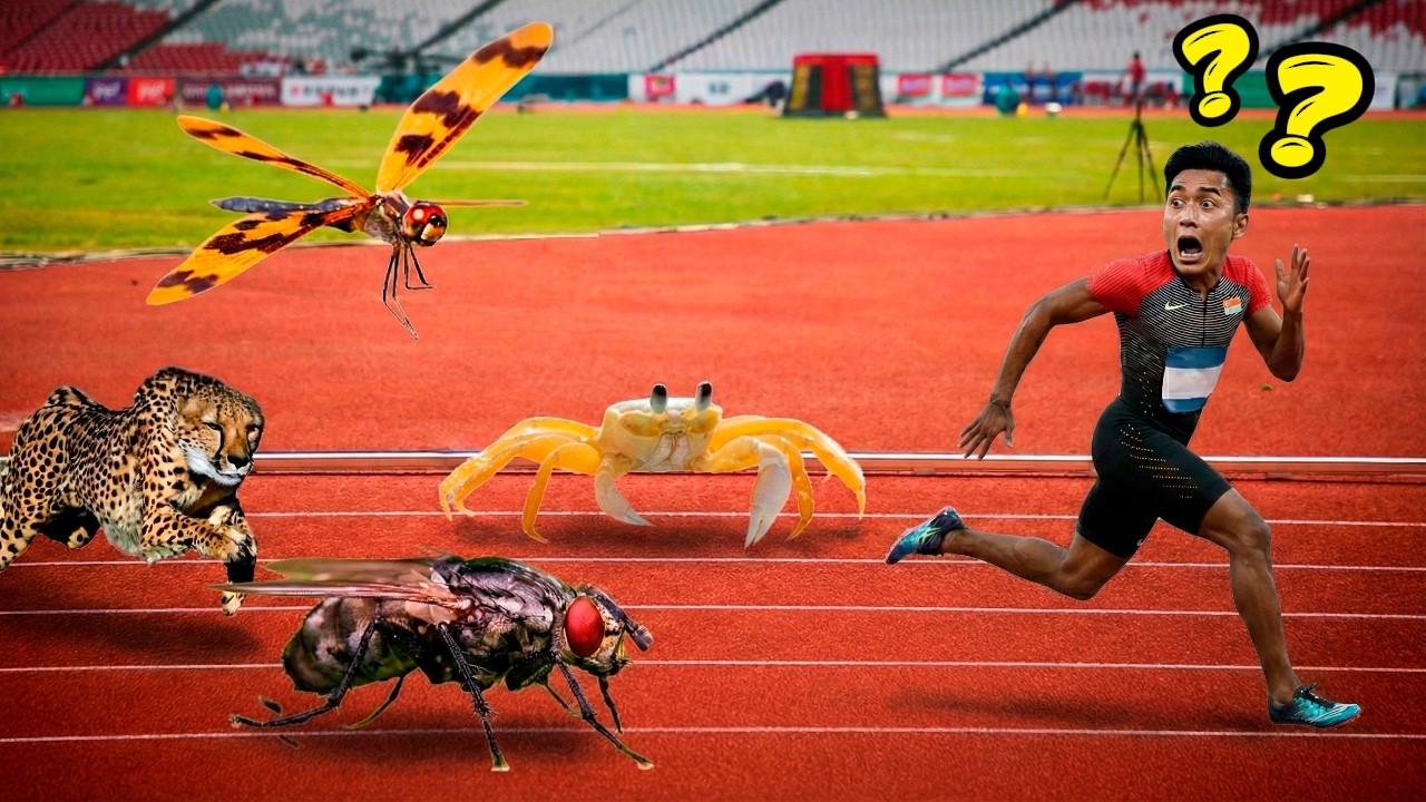 If Animals Were Human Size: Who is ACTUALLY the Fastest?