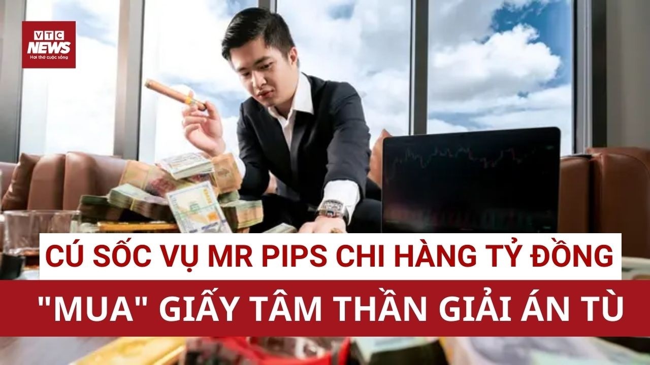 Vạch trần đường dây 