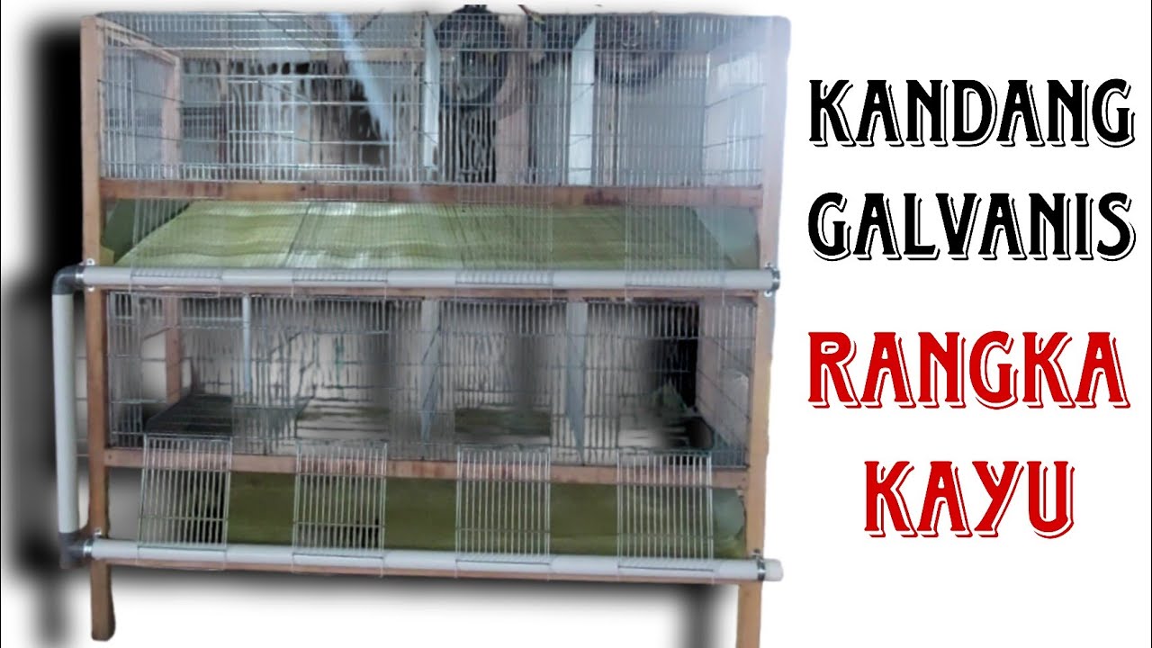 kandang kelinci galvanis dari rangka kayu