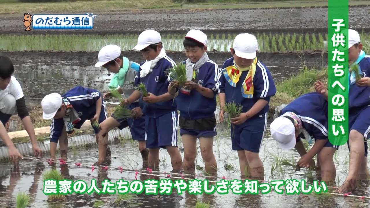 のだむら通信#11「米づくりを学ぶ　野田小学校田植え体験」2015年6月14日放送