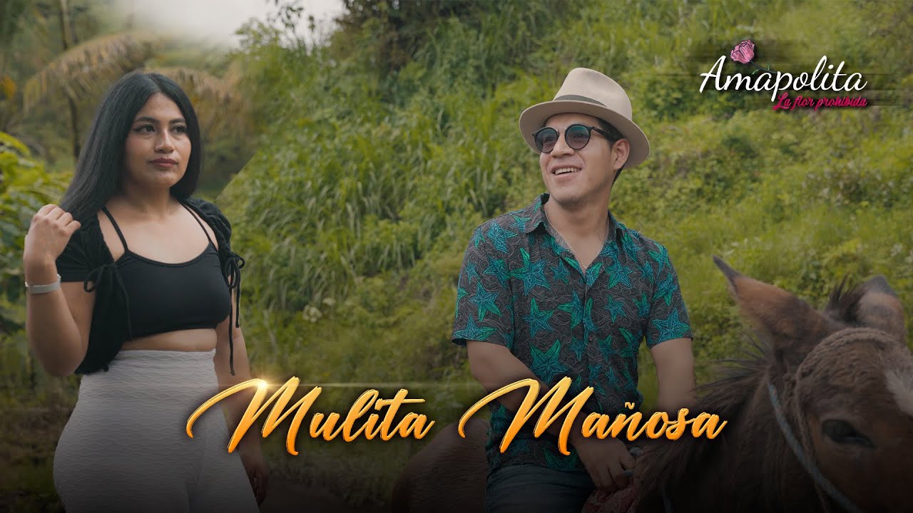 Mulita Mañosa D.R.A - AMAPOLITA (Official Video)
