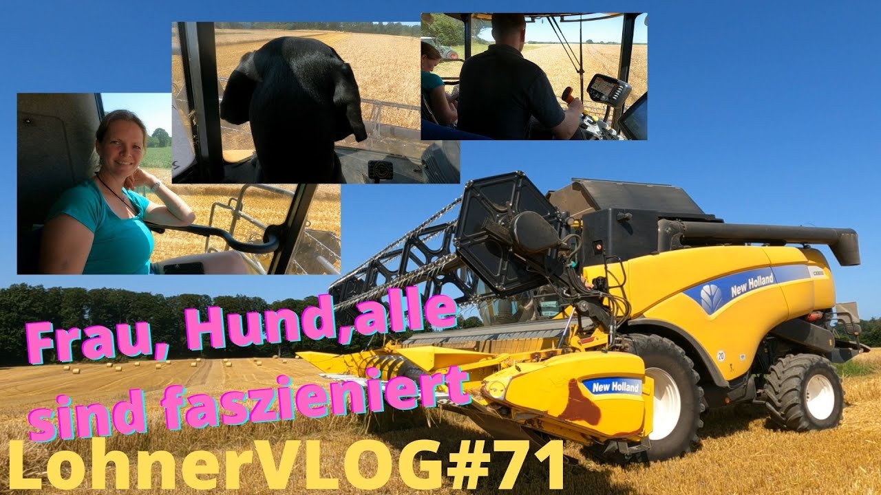 LohnerVLOG#71 Die letzte Gerste fällt I New Holland CX 8050 I Fendt 724 und Kröger Kipper fährt ab