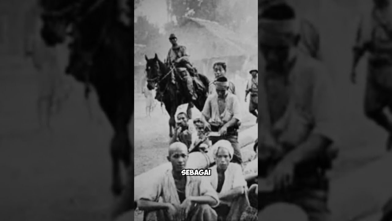 Sejarah Jawa Timur : Asal Usul Kencong Jember #faktaunik #jemberbanget #fakta #sejarah