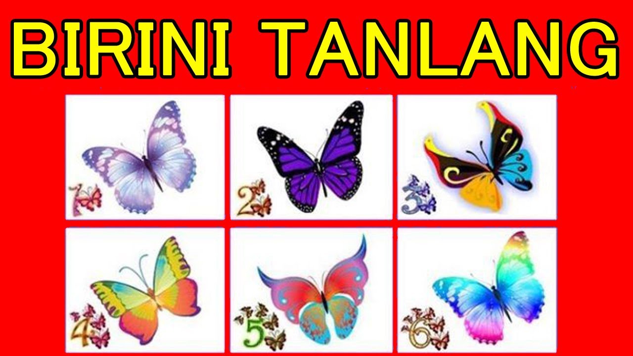 Сиз бахтлимисиз? билиб олинг капалаклардан бирини танланг | Psixologik test: Kapalaklarni tanlang...
