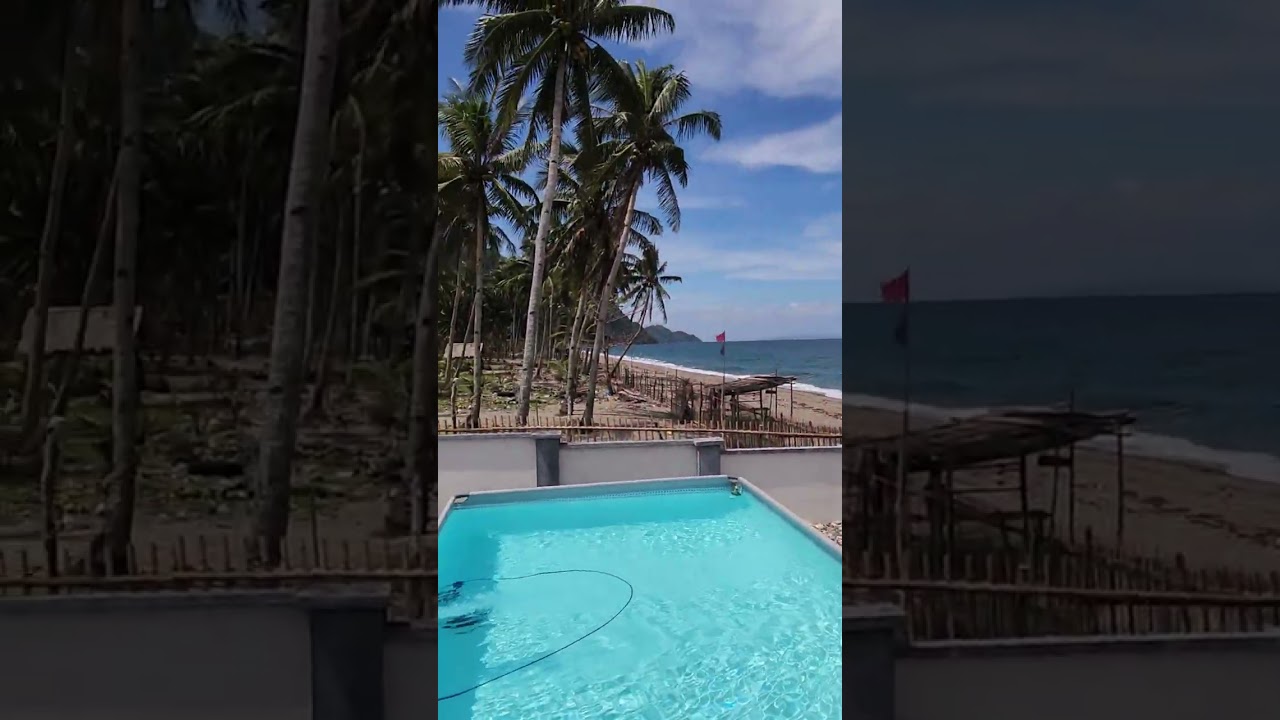 Maytronics Dolphin E10 above ground pool vacuum review