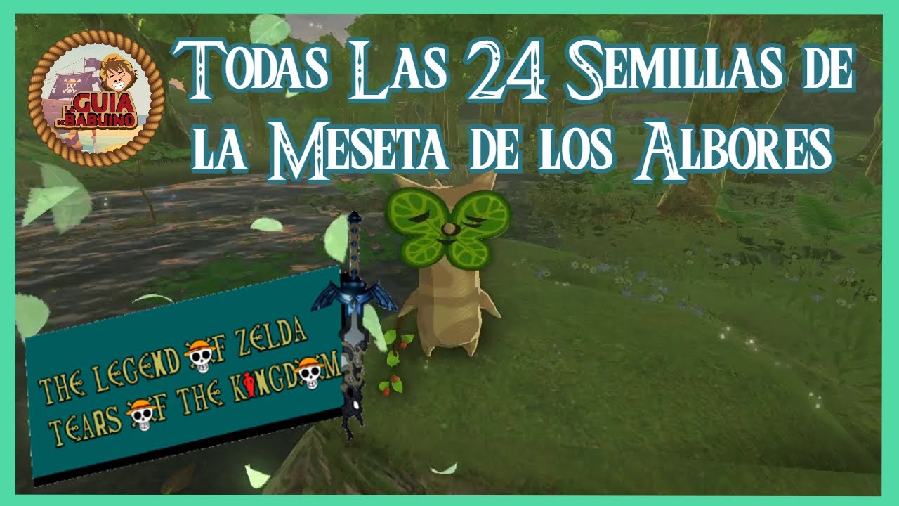 💧Todos 24 kolog de la Meseta de los Albores/ The Legend of Zelda: Tears of the Kingdom