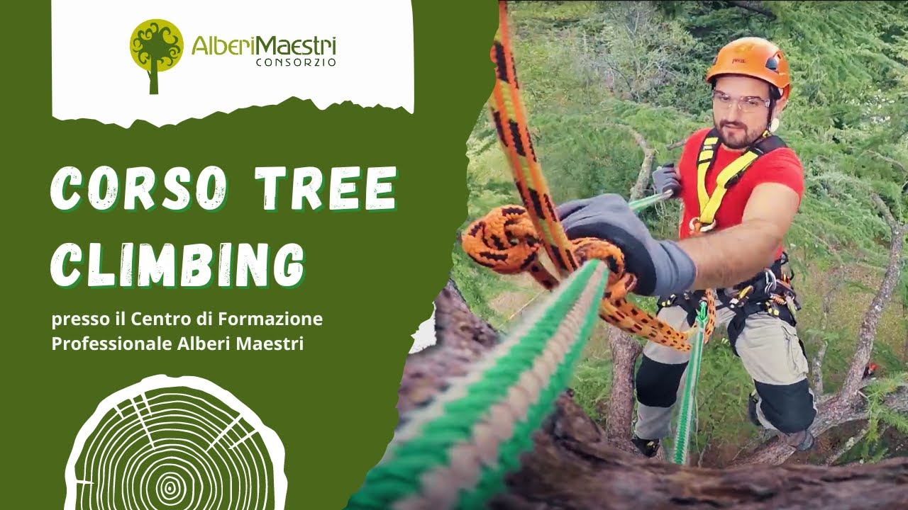 Corso Tree Climbing -  Alberi Maestri