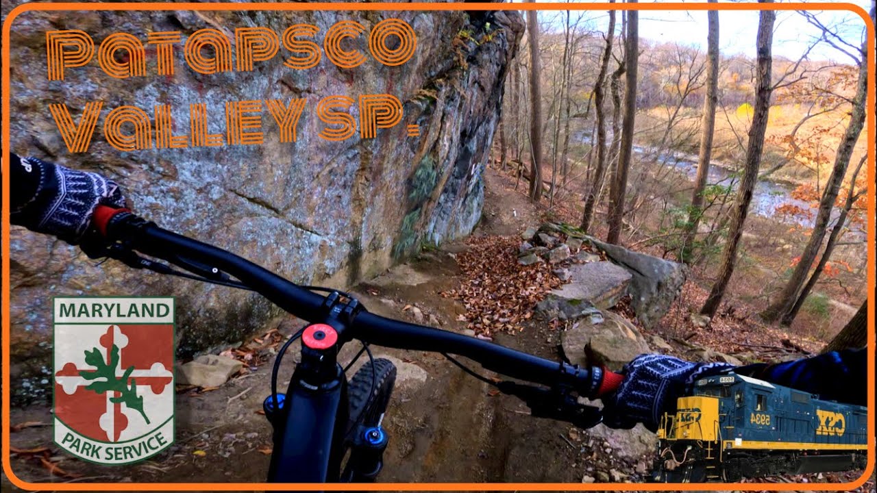 Leaf Surfing all the Fun Stuff at Patapsco!