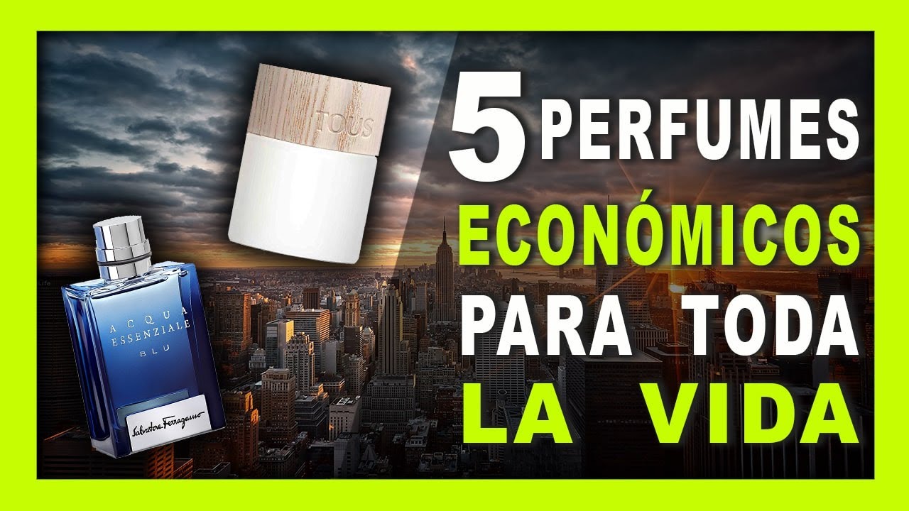 🚀5 PERFUMES ECONÓMICOS para TODA LA VIDA