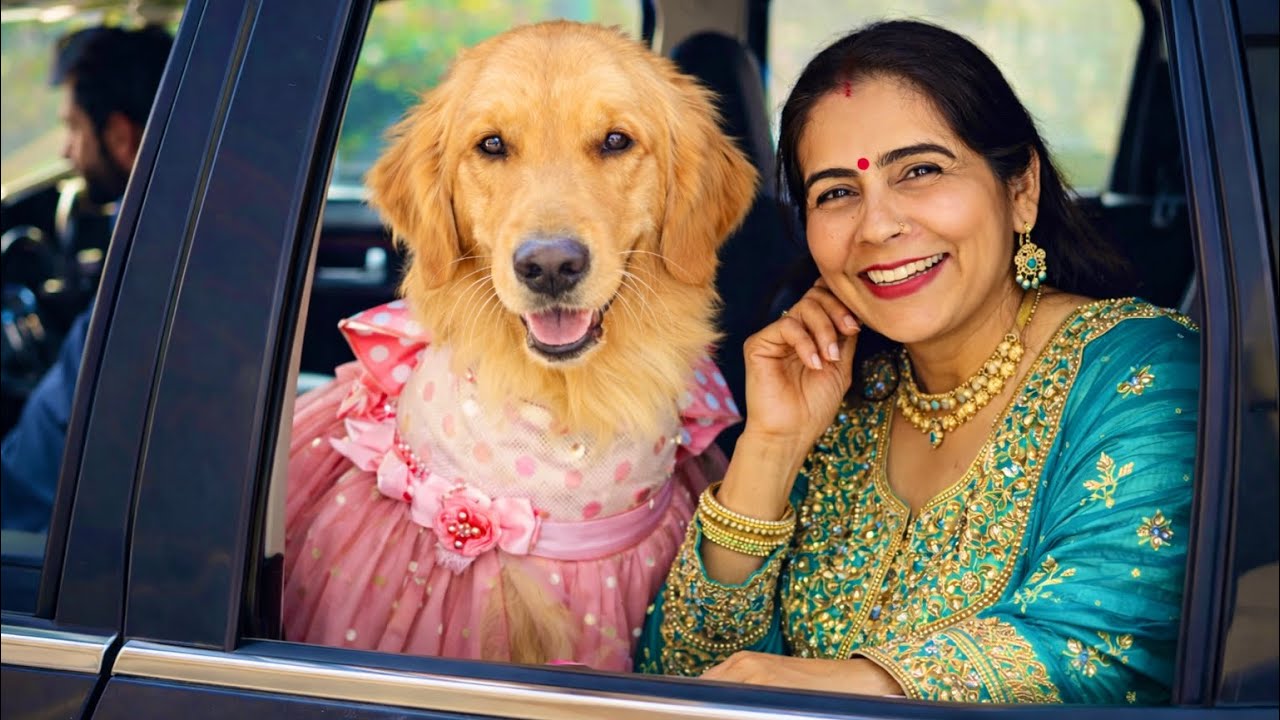 हम चले शादी में ❤️