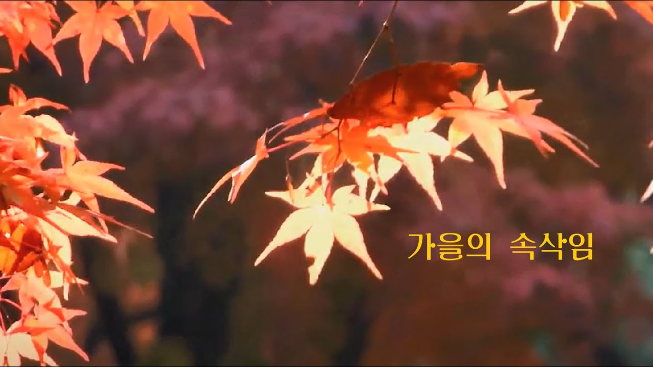 가을의 속삭임(리차드 클레이더만)-뮤직영상