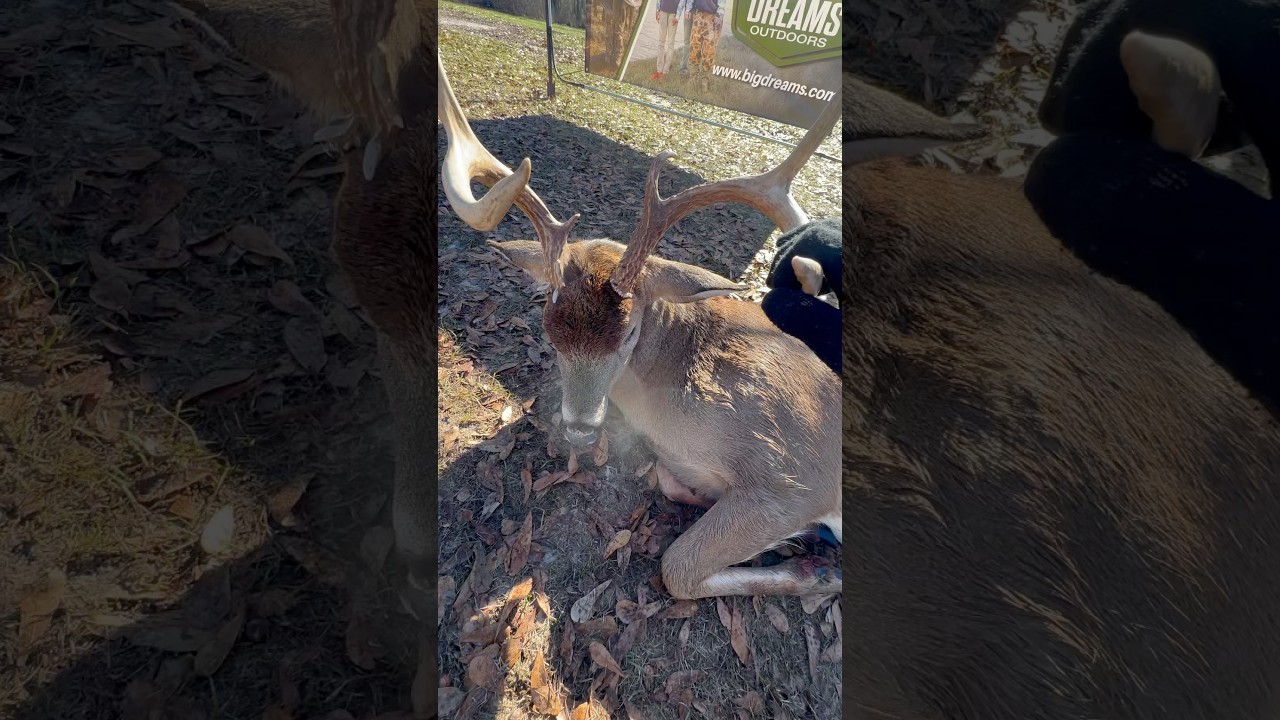 Buck Down in Bama!! 