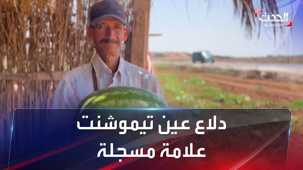 دلاع عين تيموشنت