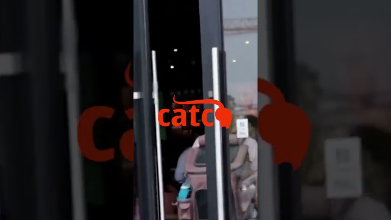 Outdoor Cat Mesh Carrier Backpack