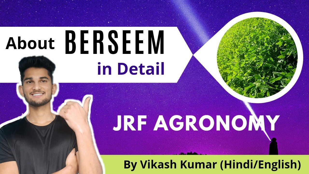 Berseem fodder Crop || Jrf Agronomy || Agriverse Education