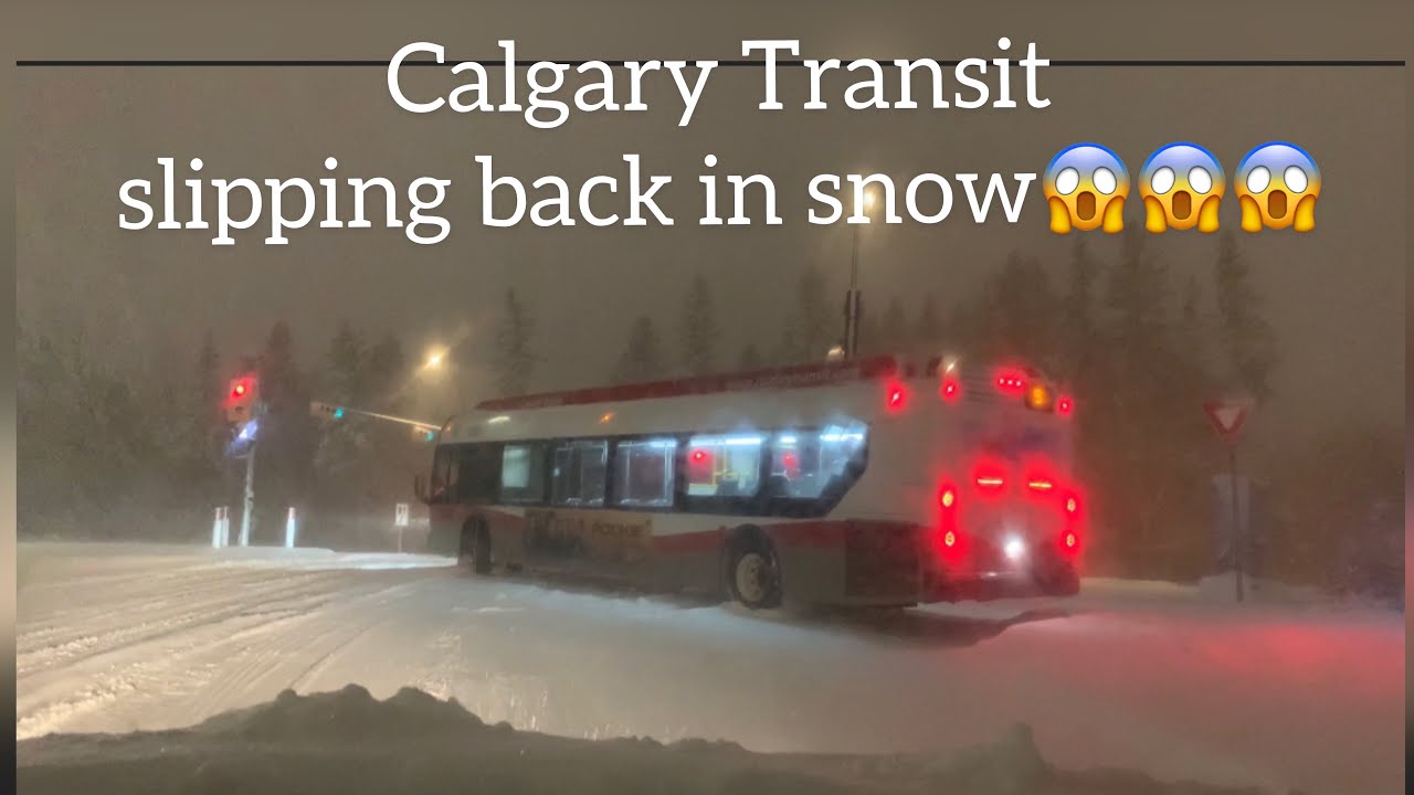 Calgary Transit slipped back in heavy snow storm || Heavy snow storm in Calgary|| worst snow storm
