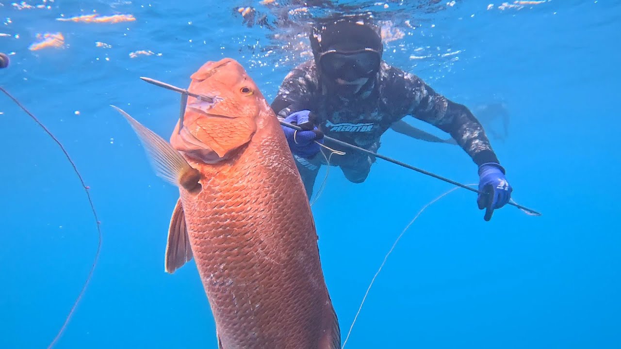 NEM ACREDITEI QUANDO VI O TAMANHO DO PEIXE ! TEMPORADA DE MERGULHO NO ALTO MAR.
