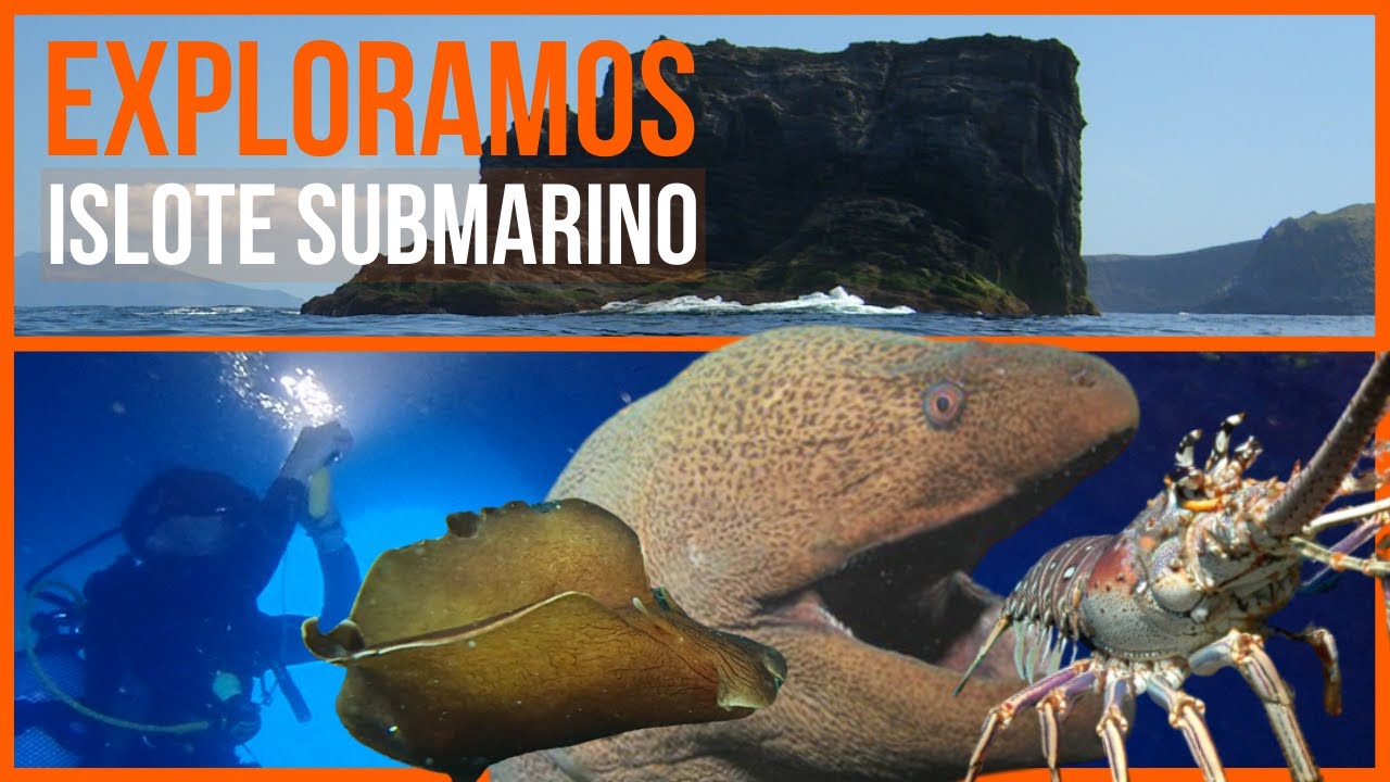 Dónde BUCEAR en España 🥽 - Costa Brava - Grandes Documentales Océano Submarinismo 🌊