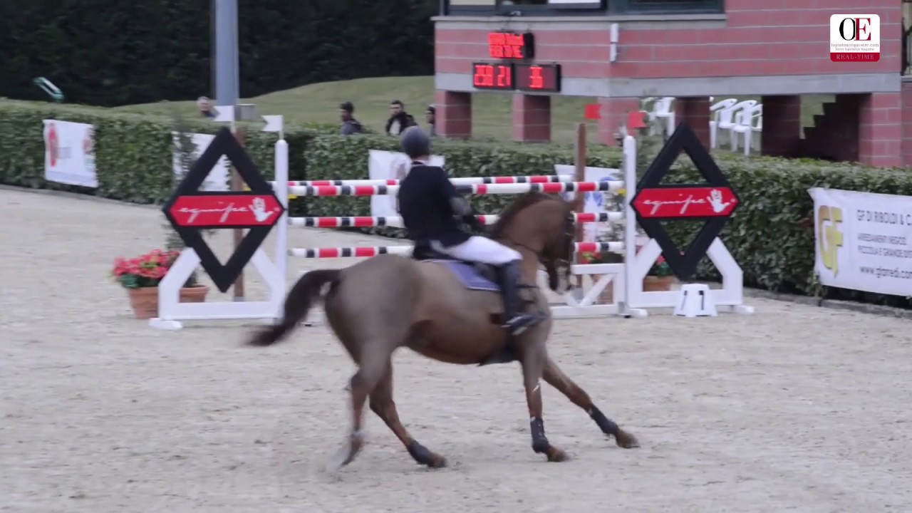 OE TV 4. Roland Grimm with Sethi de Laubert |  h 135 Accumulator competition 5 .3 .17