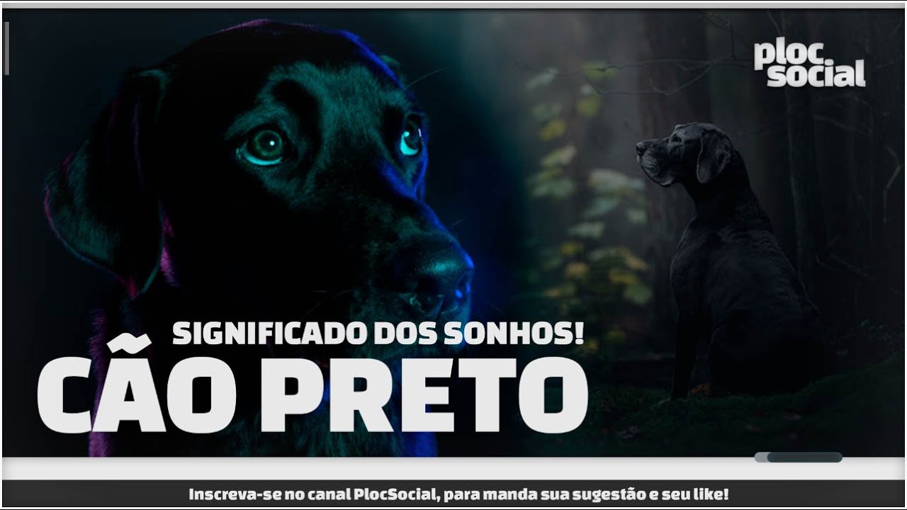 SIGNIFICADO DOS SONHOS &bull; Significado de sonhar com cachorro preto, c&atilde;o escuro ou negro e c&atilde;o bravo