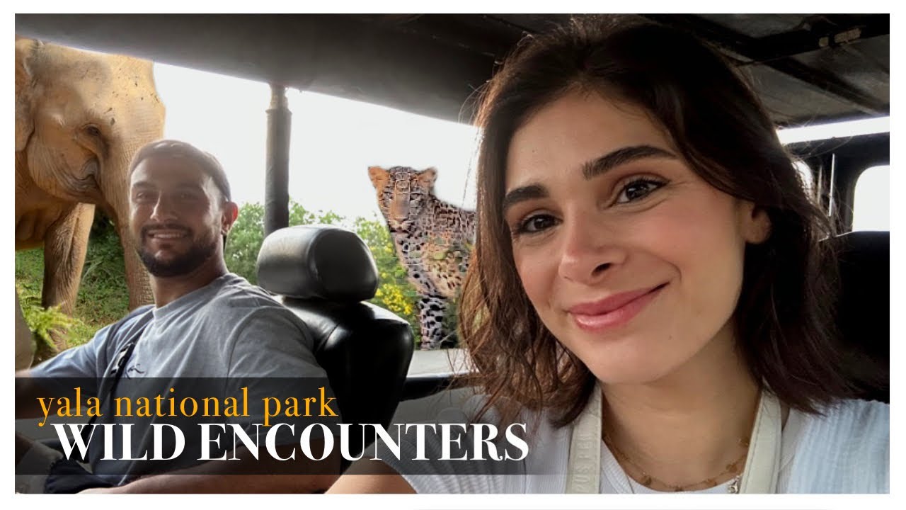 THE BEST SAFARI EXPERIENCE IN SRI LANKA 🇱🇰 | Yala Nationalpark - Sri Lanka #25